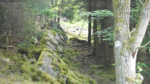 Anspruchsvolle Steigungen in der Strecke 