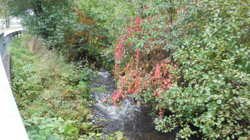 Entlang der Ilse