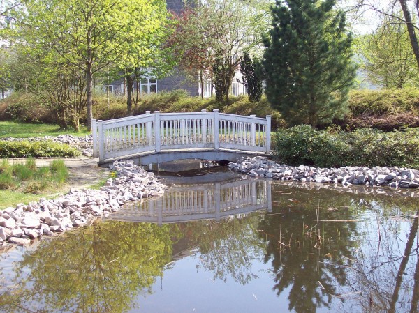 Noch ein letzter Blick, die kleine Brücke im Berleburger Stadtpark.