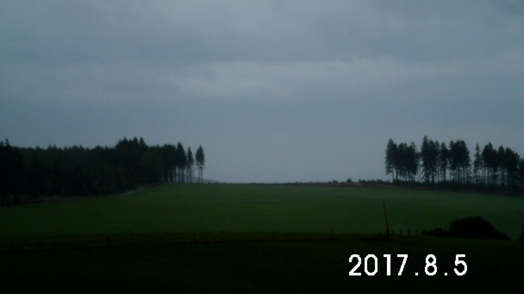 Wittgensteiner Regenwald