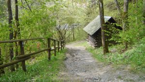 Auf dem Weg zurück nach Oberkirchen - schön war's