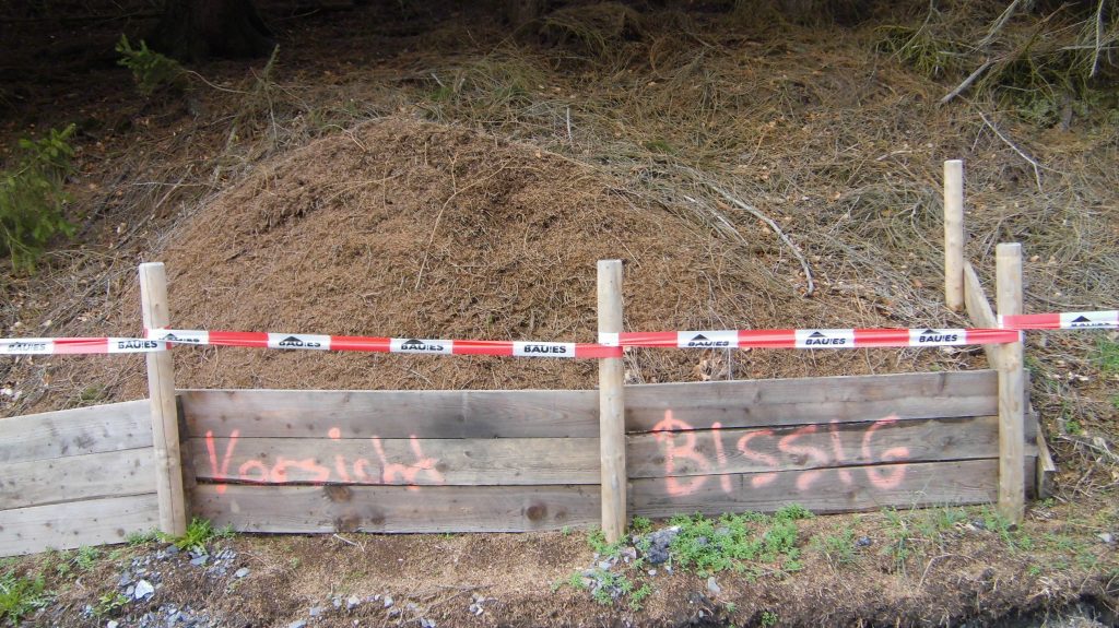 Achtung bissig lautete der Hinweis für dem Ameisenhaufen